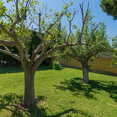 Hanami La Palma